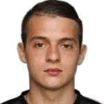 N. Mihajlović